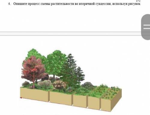 Опишите процесс развития растений пользуясь рисунком