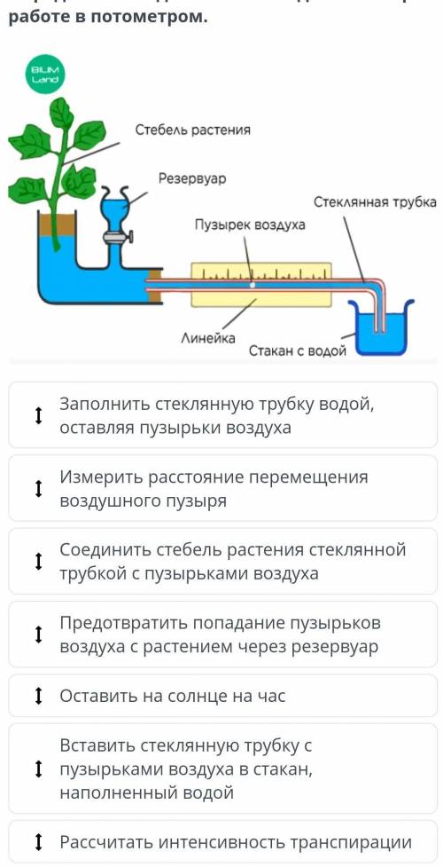 Определите последовательность участка. Потометра с растениями. Порядок действий при фильтровании. Последовательность действий при схематерапии пар. Последовательность действий при работе с анд.