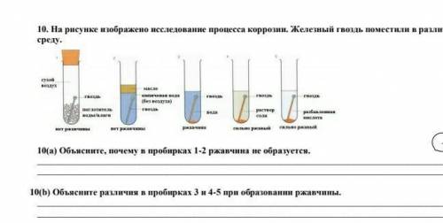 Объясните различия. Мужское семя в пробирке. Объясните причину образования ржавчины в пробирках 3-5. Как объяснить образование в четвертой и пятой пробирках растворах. Люди в пробирке и настоящие отличие.