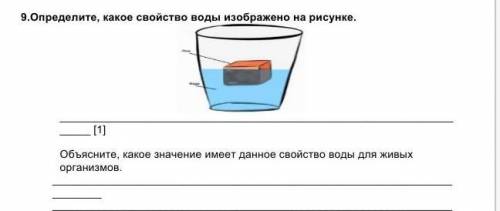 Что изображено на рисунке объясните свой ответ. Определите какое явление изображено на картинке вода. Узнаем, какая вода. Какое значение имеет вода для живых организмов. Какое свойство жизни показано на рисунке.