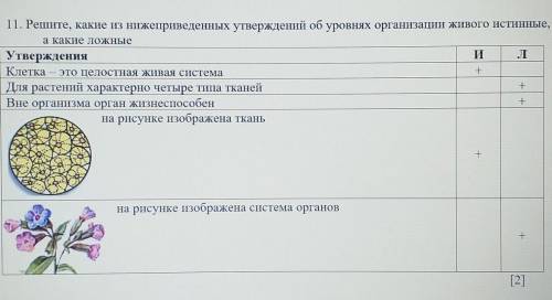 Какая из нижеприведенных характеристик относится к животному изображенному на рисунке развитие