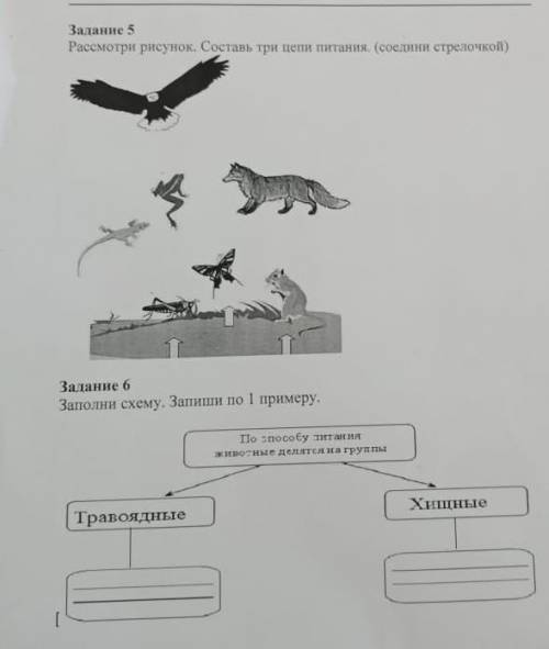 Построй и покажи стрелочками цепь питания используя рисунок