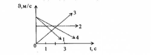 На рисунке представлены графики зависимости скорости движения от времени для четырех тел тела