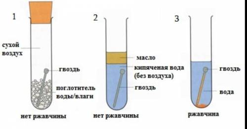 Что такое коррозия металлов перед вами рисунок на котором изображены два стакана