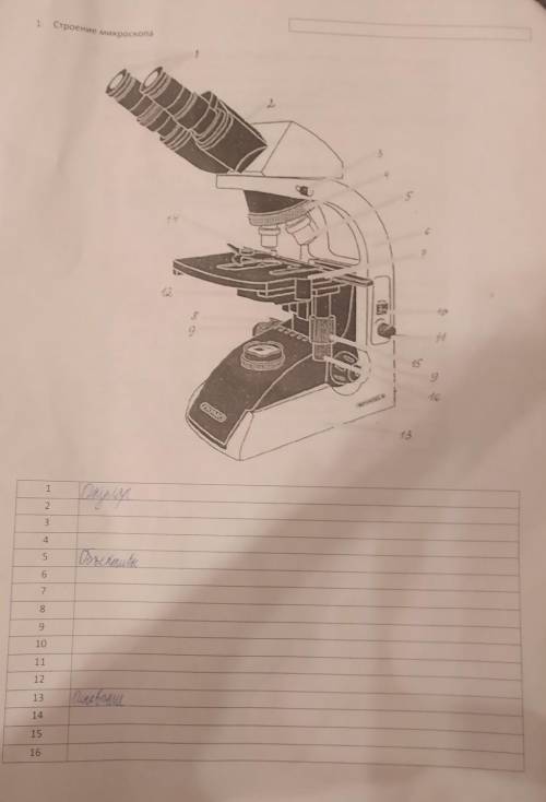 Биология 41. Микроскоп по клеточкам нарисовать.