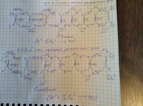 Напишите цепь. Записать цепочку cr2s3. Как писать цепи декана. Как писать цепочка на поле 1 класса. C8h16o составить цепочку.