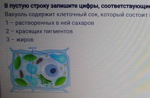 Соответствовало под цифрой 3. Пустую строку запишите цифры. Запиши цифру которой обозначена конустна растания. В пустую строку впишите цифры соответствующие номерам. В ответ запишите только цифры соответствующие.