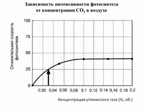 Повышение интенсивности углекислого газа