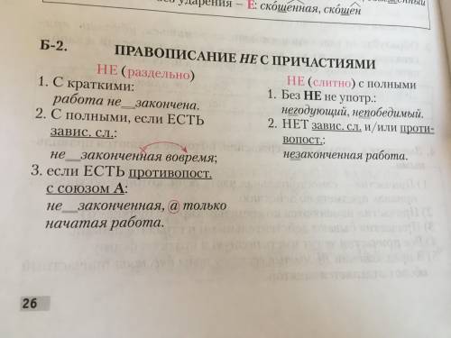 Не пишется раздельно с краткими причастиями. Почему не случайно пишется раздельно. Почему не стриженные пишется раздельно. Почему не прекращавшийся пишется раздельно. Не пришедший вовремя почему пишется раздельно.