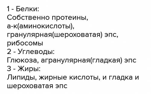 Разделите следующие. Раздели термины на три группы. Объяснение следующих терминов сагрофаг.