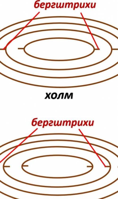 Холм или впадина показана на рисунке