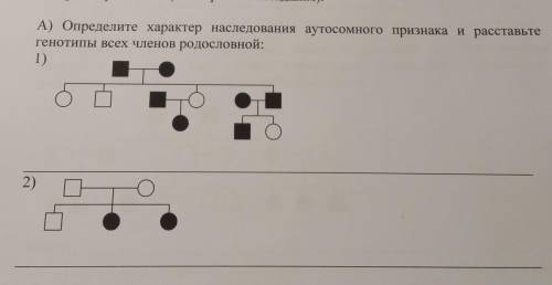 Характер наследования. Определите характер наследования признака. Определите характер наследования признака и расставьте генотипы. Расставить генотипы всем членам родословной. 1.Определить характер наследования.