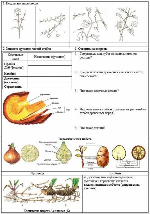 Тема семя биология 6 класс тест