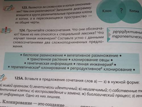 Прочитайте словосочетания и предложения. Специальная лексика предложения. Прочитайте словосочетания и напиши по-русски что они означают.