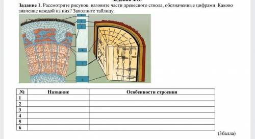 Рассмотрите схему дороги и напишите прямо на рисунке как называются части дороги