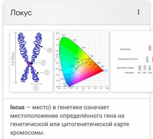 Что означает локус. Локус (генетика). Локус это в генетике. Спектральный Локус. Локус цвета.