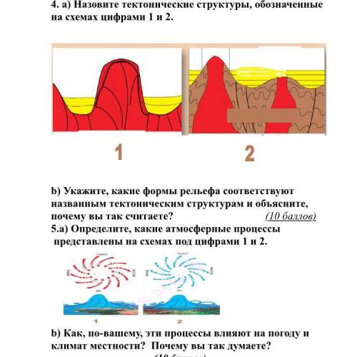 Определить каким тектоническим структурам. Тектонические структуры схема. Определение тектонической структуры. Назвать основные тектонические структуры. Элементы тектонической структуры.