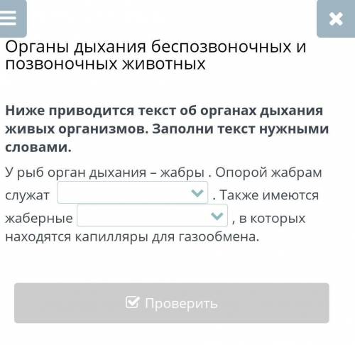 Ниже приведенный текст. Текст в речь онлайн. Заполнить текст. Текст своими словами онлайн. Как заполнить этот текст.