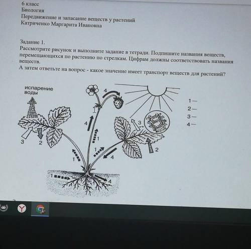 Подпиши рисунок и ответь на вопрос