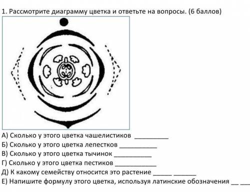 Диаграмма цветка линейных