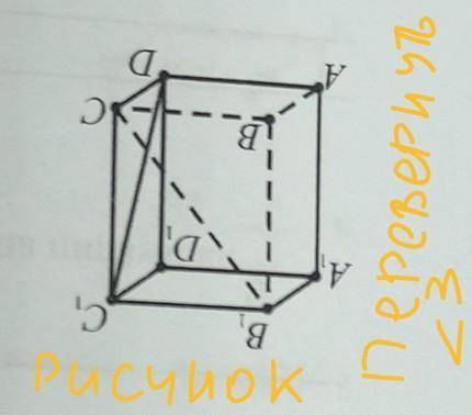 Abcda1b1c1d1 прямоугольный параллелепипед ab ad. Abcda1b1c1d1 прямоугольный параллелепипед ab 4 ad 3. Abcda1b1c1d1 прямоугольный параллелепипед ab 11 ad 3. Найдите угол bd1c1 прямоугольного параллелепипеда. Прямоугольный параллелепипед DB? V? Ab=3 ad=5 aa1=3.