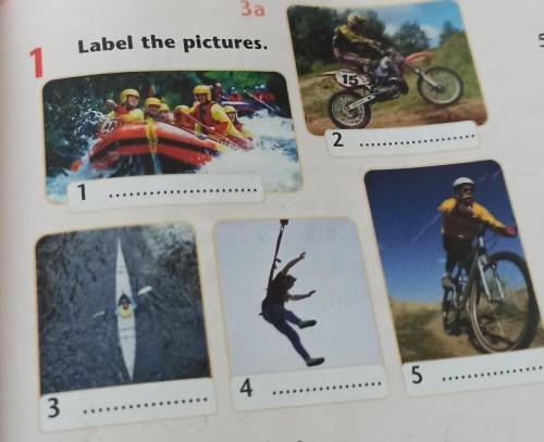 2 label the pictures. Label the pictures. Английский Label the pictures. Label the pictures 7 класс. Label the pictures 5 класс.