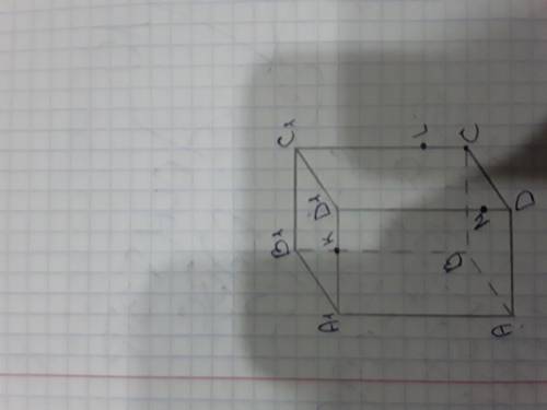 Нарисуй прямую пересечения нижнего основания параллелепипеда с плоскостью которая содержит точки и
