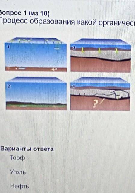 Процесс образования какой органической горной породы показан на рисунке нефть уголь торф