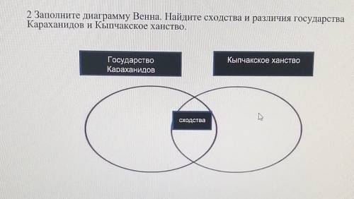 Найдите сходства и различия