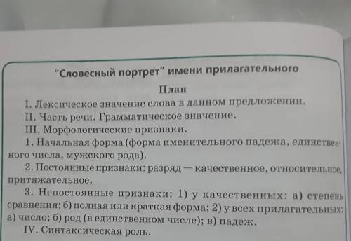 Портрет прилагательное. Словесный портрет прилагательного. Презентация словесный портрет прилагательного. Паспорт прилагательного 6 класс. Паспорт имя прилагательное.