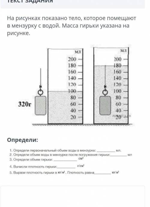 Найдите массу стальной гирьки показанной на рисунке