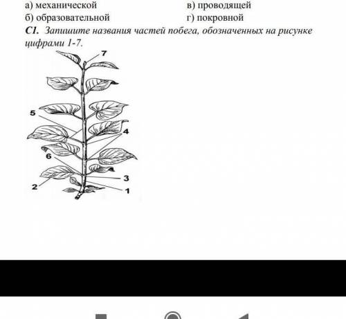 Укажите название пути эволюции которое отмечено на рисунке цифрой 2 введите слово в поле ответа