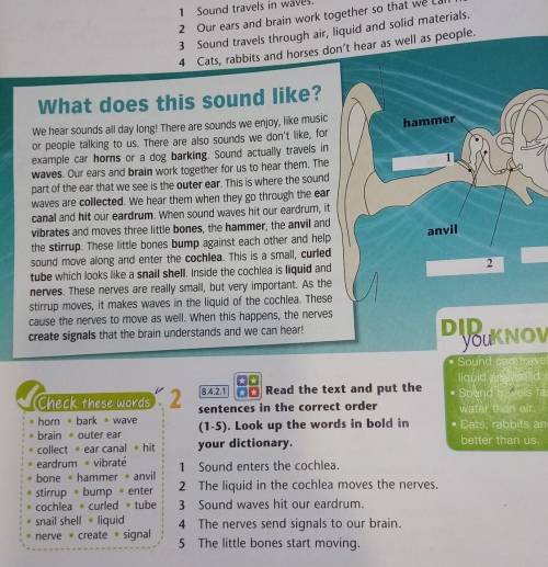 Read the text and the sentences. Read the text and put the paragraphs in the correct order 5 класс. Put the Words in the correct order 5 класс ответы from are where they. Read the text in the class book put the sentences in the correct order перевод. 1. Read the text and put the paragraphs in the correct order номер 4.