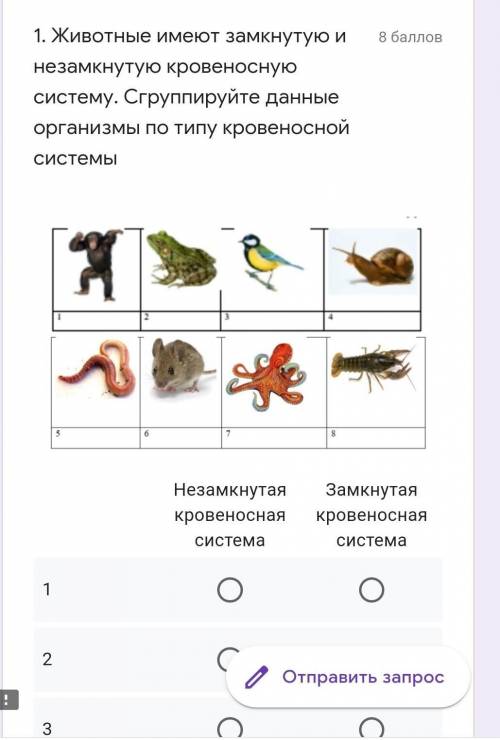 Замкнутое животное. Животные имеющие незамкнутую кровеносную систему. Замкнутую кровеносную систему имеют. Организмы имеющие замкнутую кровеносную систему. Замкнутая и незамкнутая кровеносная система у животных.