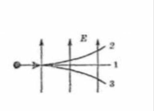 В электрическое поле влетает. Влетает нейтрон. В электрическое поле влетает нейтрон он движется по траектории 1 2 3. В Эл поле влетает электрон укажите траекторию характера частицы.