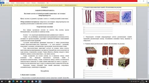 Биология задание 2. Кейсы задания по биологии 9 класс. Мышечная ткань. Что такое предметные задания по биологии. Биология задания Айканат.