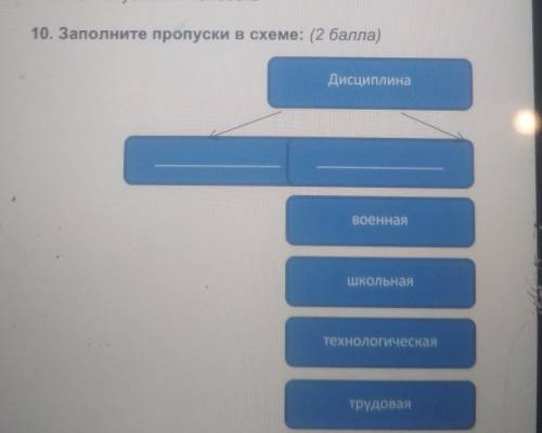 Заполни пропуски в схеме форма правления в италии