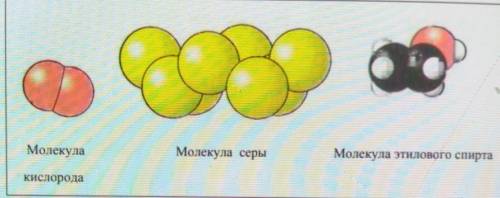 Молекула серы сколько атомов. Модель молекулы серы. Молекула серы состоит из. Строение молекулы серы. Модель из молекул из серы.