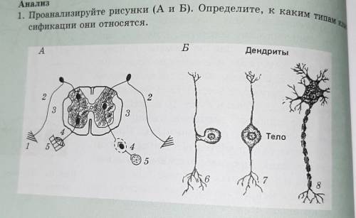 Проанализируйте рисунки на с 116 117 учебника есть ли связь между окраской животных и средой