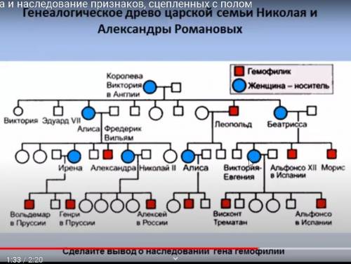 Рассмотрите рисунок на котором изображено генеалогическое древо человека