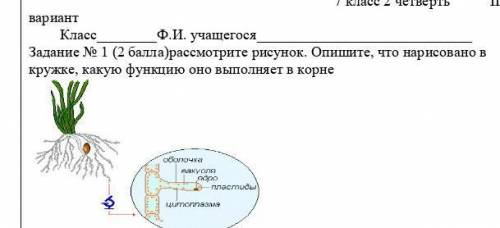 Рассмотрите рисунок 71. Рассмотри рисунок и дополни текст. Внимательно рассмотрите рисунок 93 определите какой процесс показан. Рассмотрите рисунок 71 и таблицу результатов опыта. Рассмотрите рисунок 130 ответьте на вопросы.