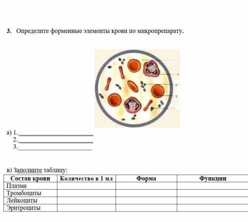 Назовите тип форменного элемента крови представленного на рисунке укажите численность этих клеток