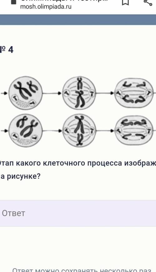 Какой процесс изображен на рисунке огэ биология