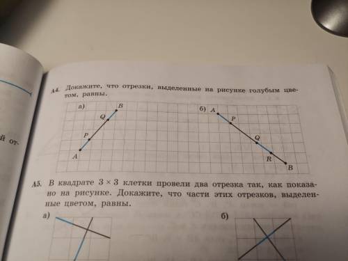 Среди отрезков выделенных цветом на рисунке 170 укажите равные