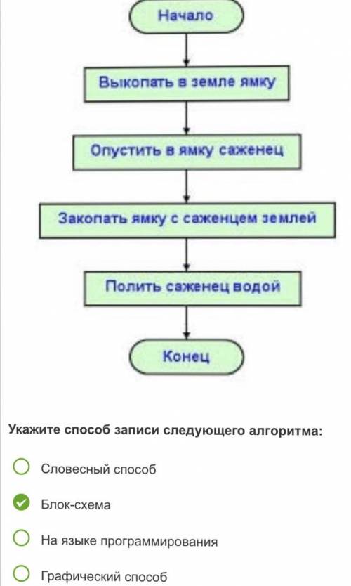 Условным обозначением блока начала и конца в блок схеме является ответ