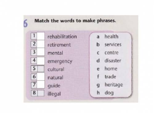 Match the world phrases