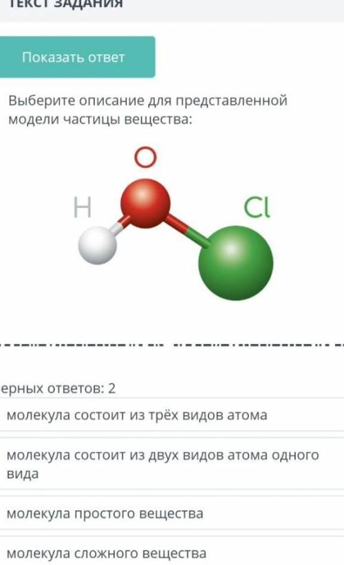 Выберите описание. По биологии макет частица.