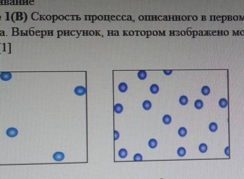 Скорость процессов