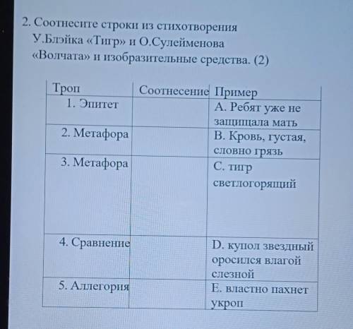 Тема стихотворения волчата о сулейменов