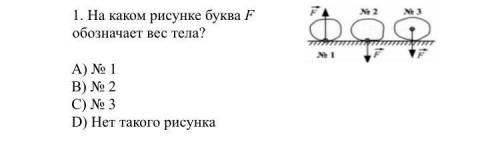 Какой буквой на рисунке обозначен